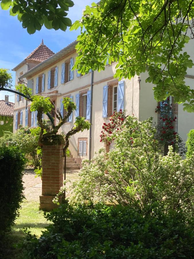 Domaine De Menerque - Petit Chateau Avec Piscine Lisle-sur-Tarn Exteriér fotografie